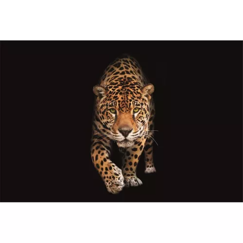 Gevlekte wilde kat - Panter 300x200x2cm mat