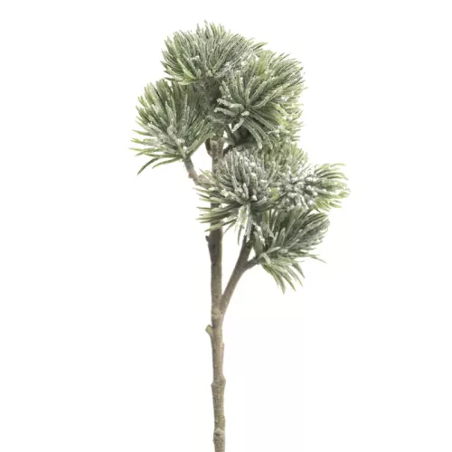 Pinus Spray Mugo gevlokt 58cm