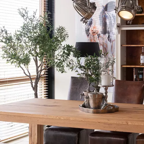 Payaa Olijfboom 70x50x40cm (110529)