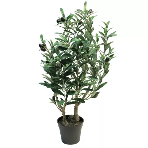 Olijfboom 70x50x40cm