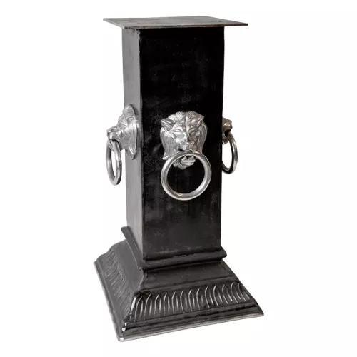 Pilaar Galax Met Leeuwenhandvat